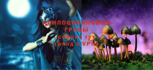 эйфоретик Алексин